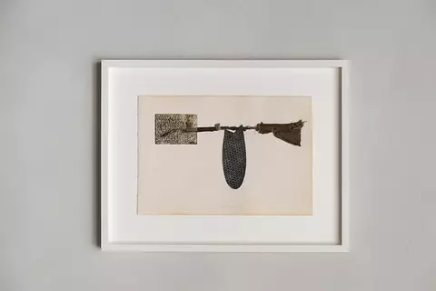 AQUALEX Concept Store Knokke Metamorphoses