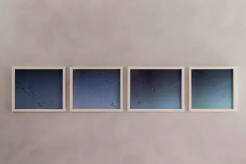 AQUALEX Concept Store Knokke Metamorphoses